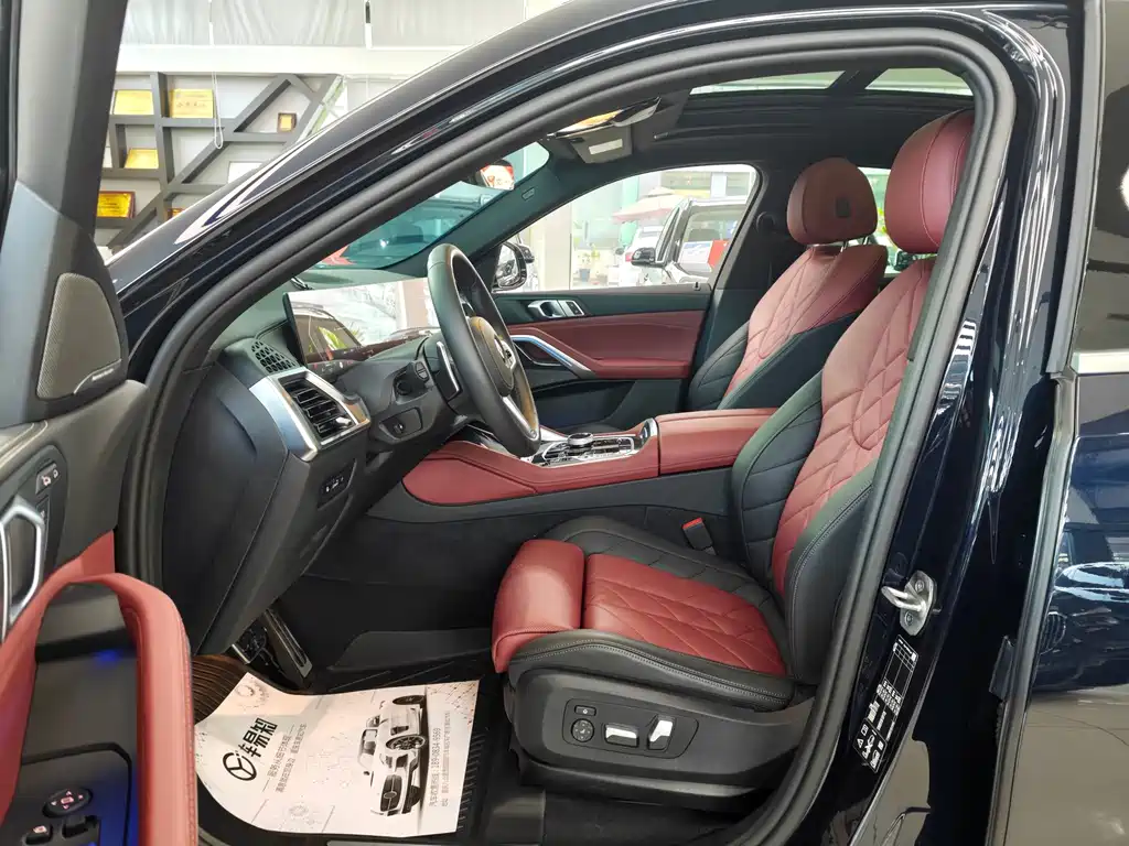 BMW X6 — миниатюра 12