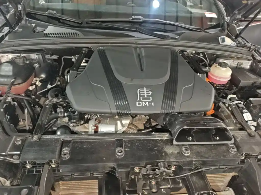 BYD Tang New Energy — миниатюра 20