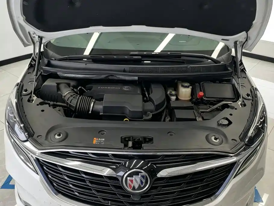 Buick GL8 — миниатюра 10