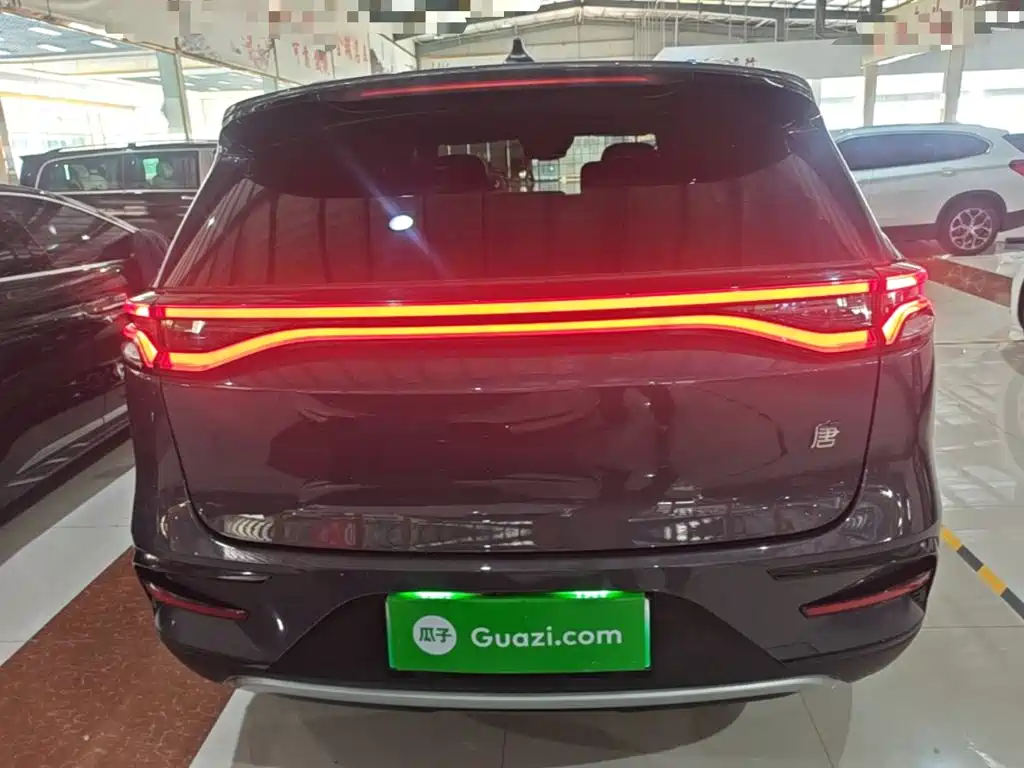 BYD Tang New Energy — миниатюра 6