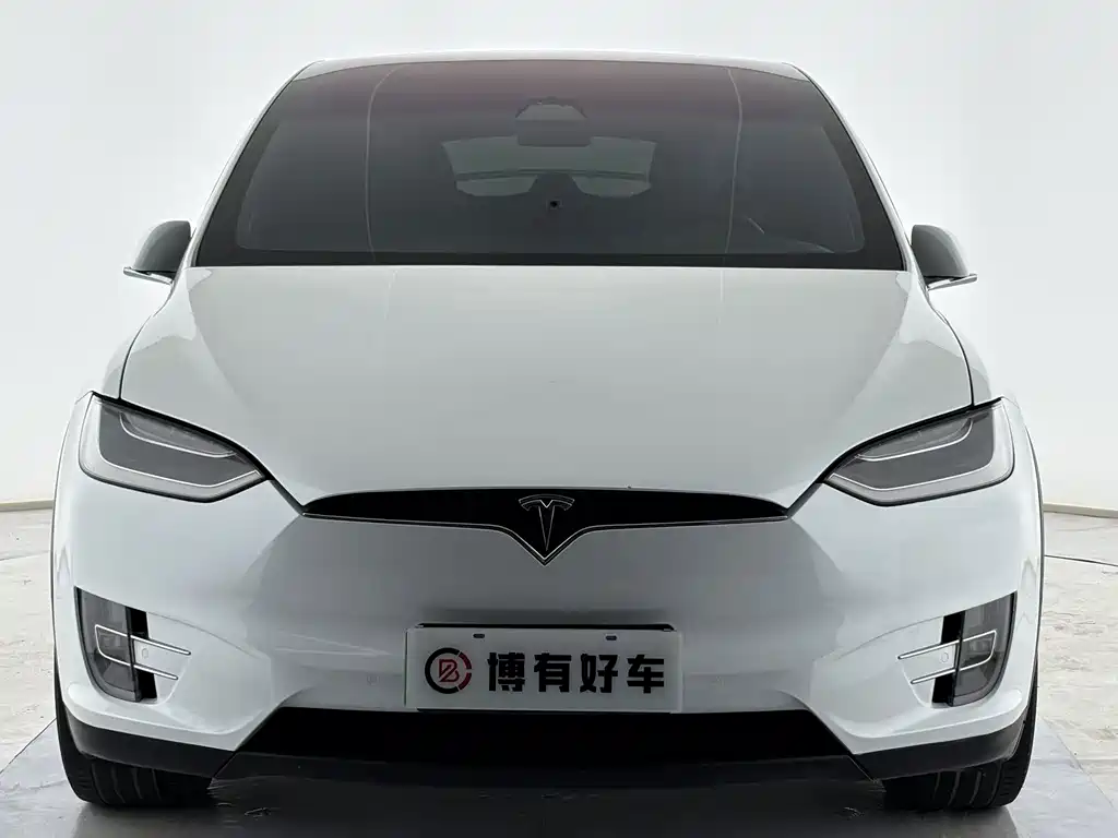 Tesla Model X — миниатюра 2