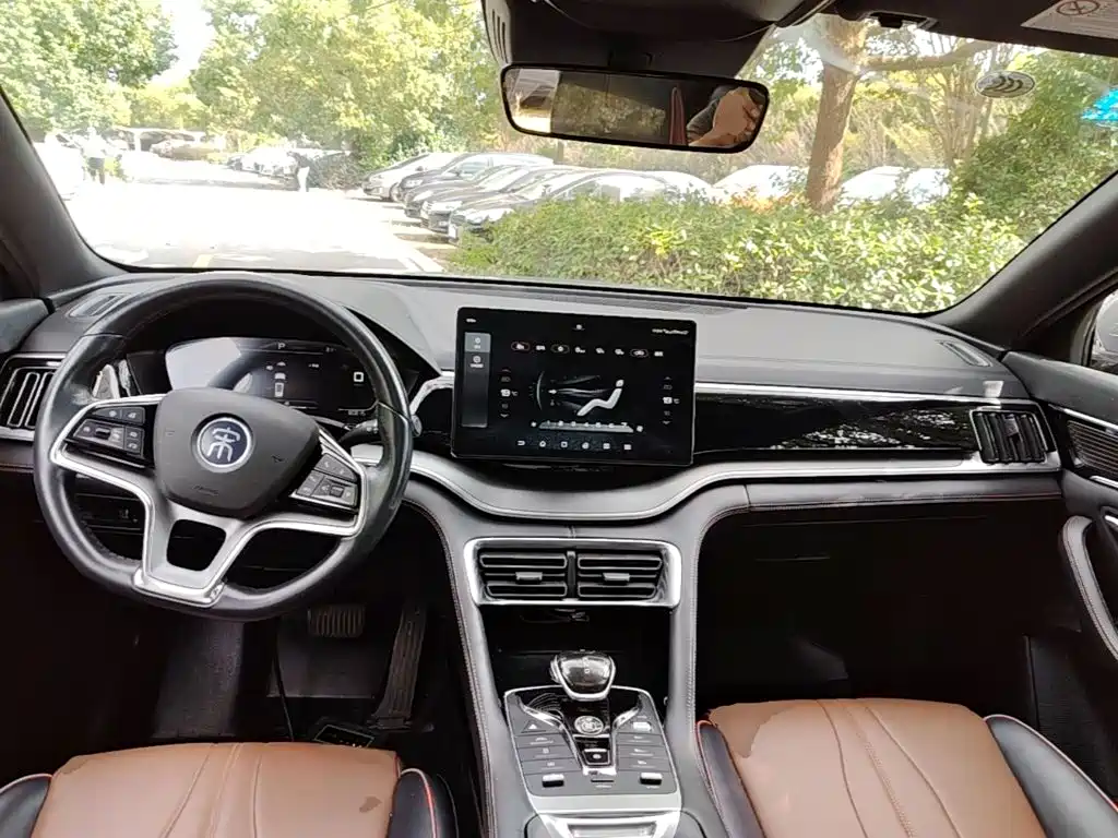 BYD PLUS — миниатюра 10