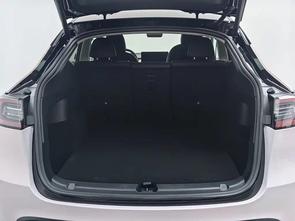 Tesla Model Y — миниатюра 16