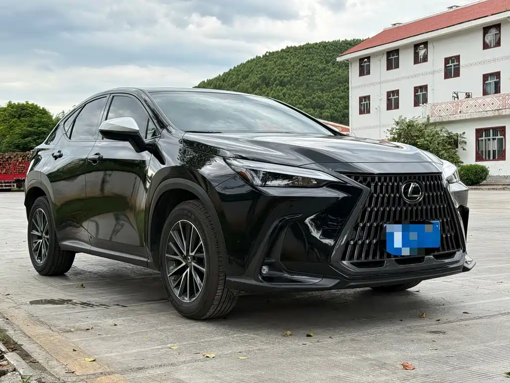 Lexus NX — миниатюра 21