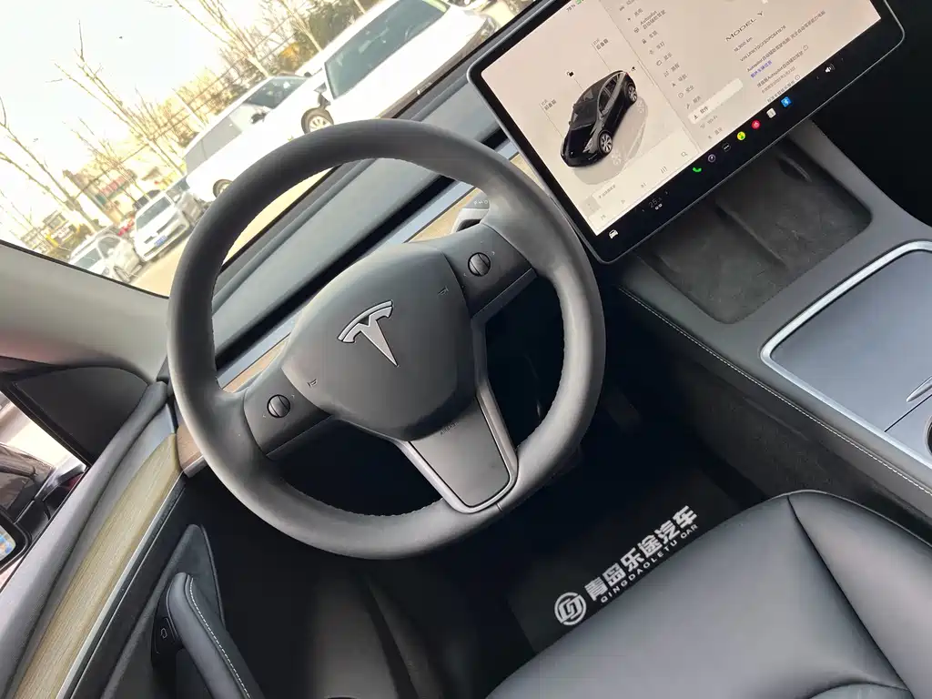 Tesla Model Y — миниатюра 15