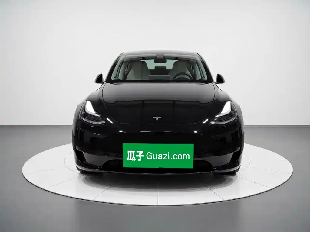 Tesla Model Y — миниатюра 2