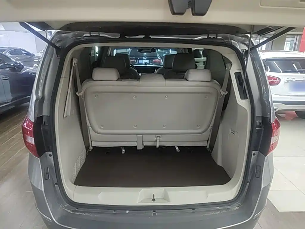 Buick GL8 — миниатюра 19