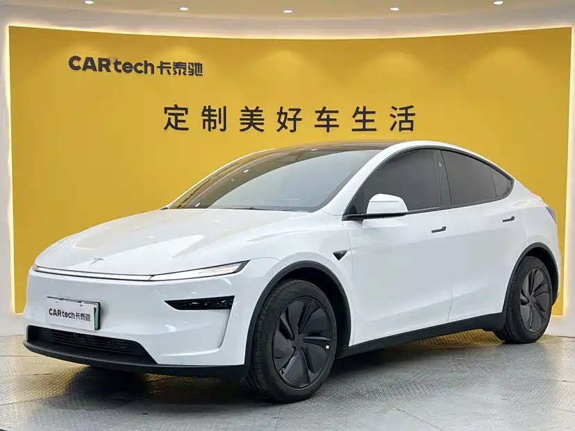 Tesla Model Y — миниатюра 12
