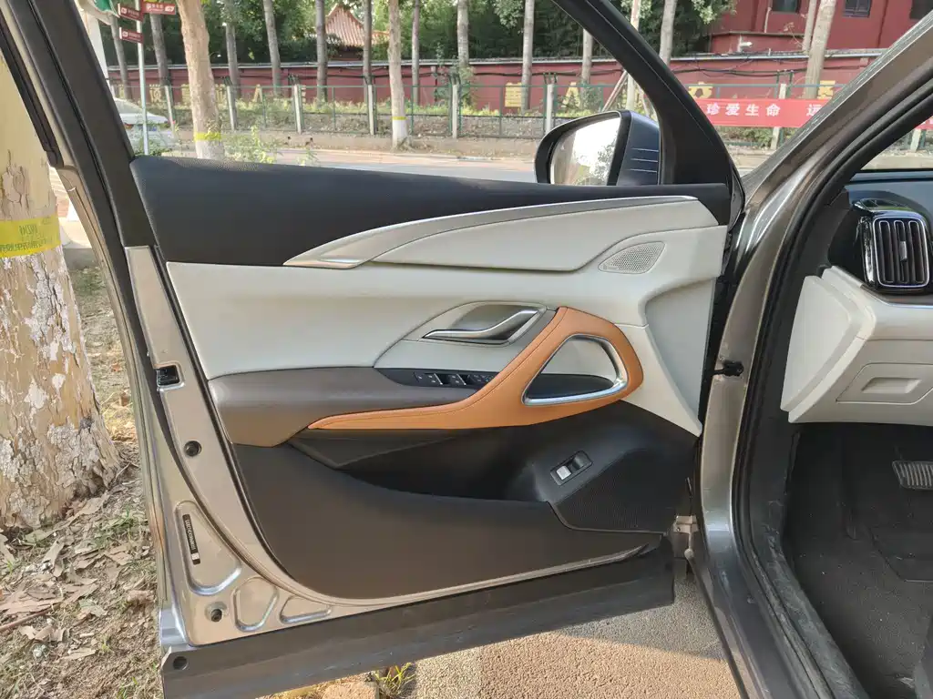 BYD Pro New Energy — миниатюра 6