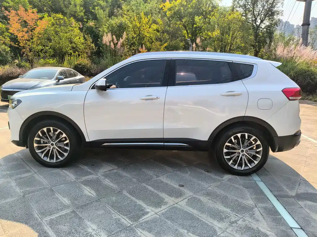 Haval H6 — миниатюра 12