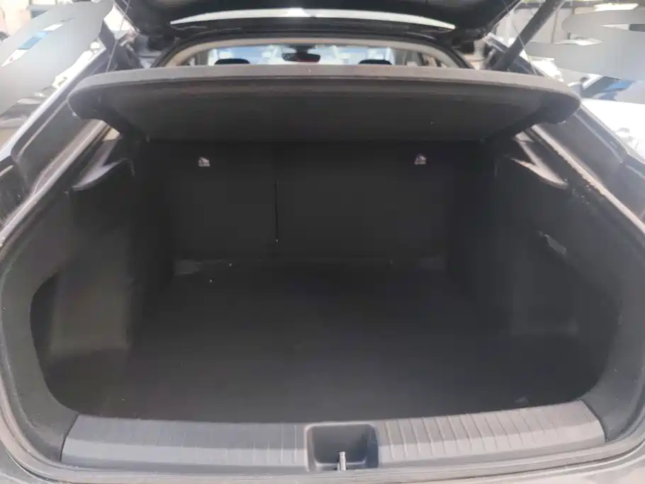 Volkswagen Lamando — миниатюра 4