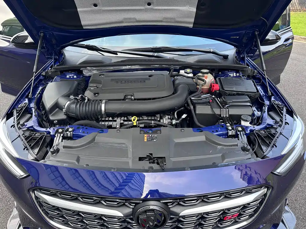 Buick Regal — миниатюра 17