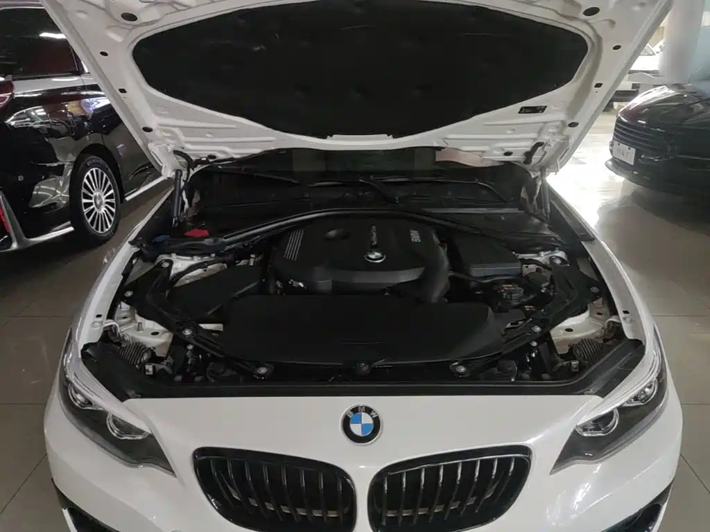 BMW 2 Series (Import) — миниатюра 20