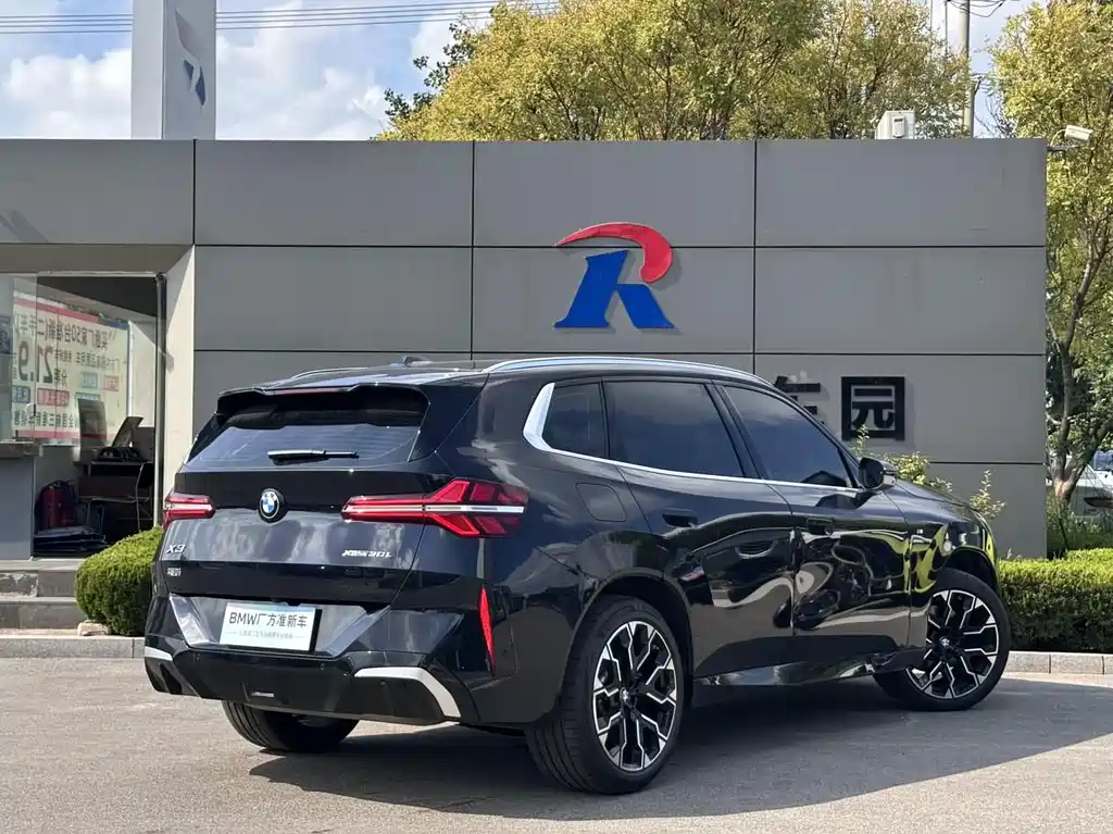 BMW X3 — миниатюра 12