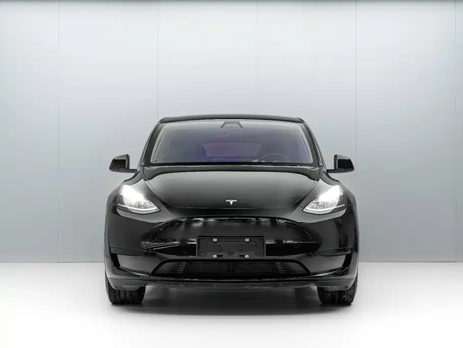 Tesla Model Y — миниатюра 2