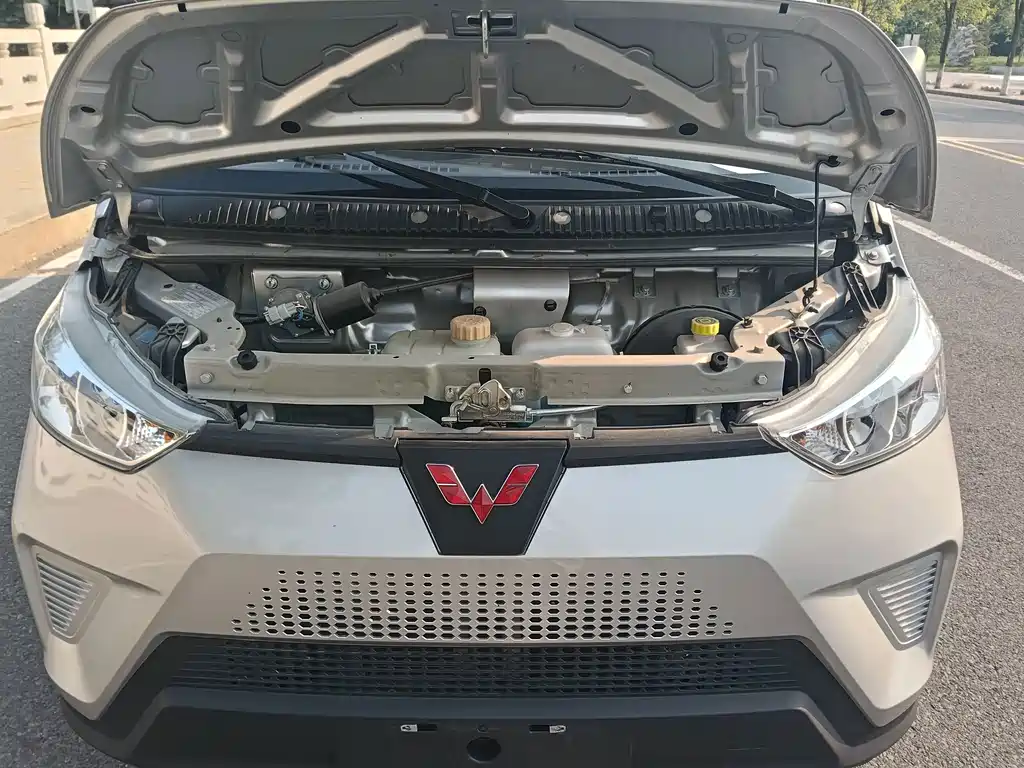 Wuling Wuling Electric Truck — миниатюра 15