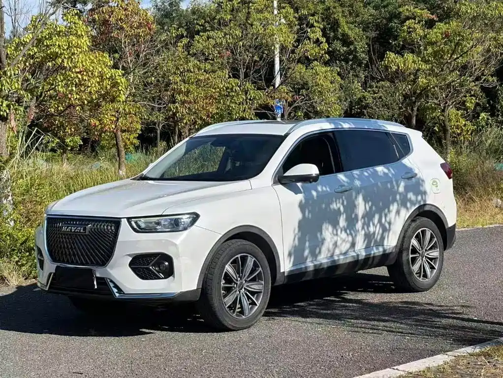 Haval H6 — миниатюра 3