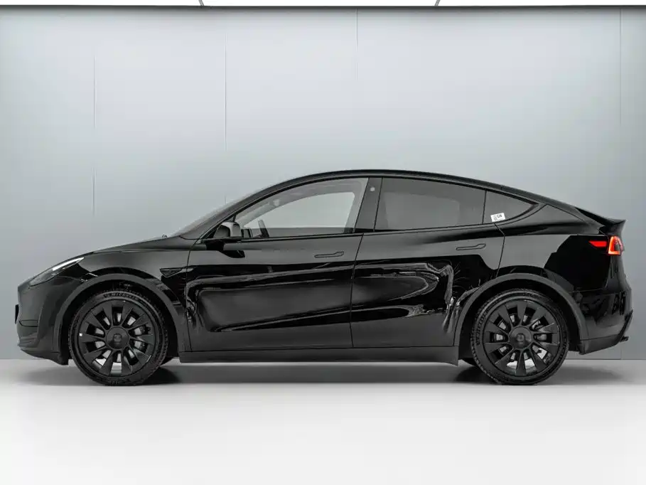 Tesla Model Y — миниатюра 4
