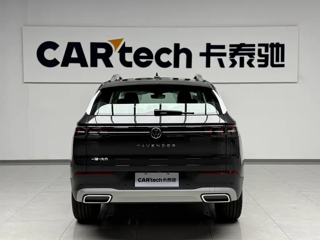 Volkswagen Tavendor — миниатюра 6
