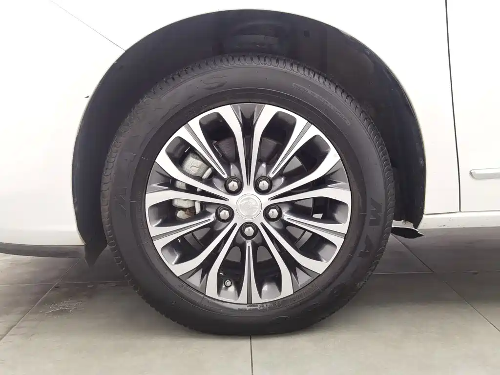 Buick GL8 — миниатюра 17