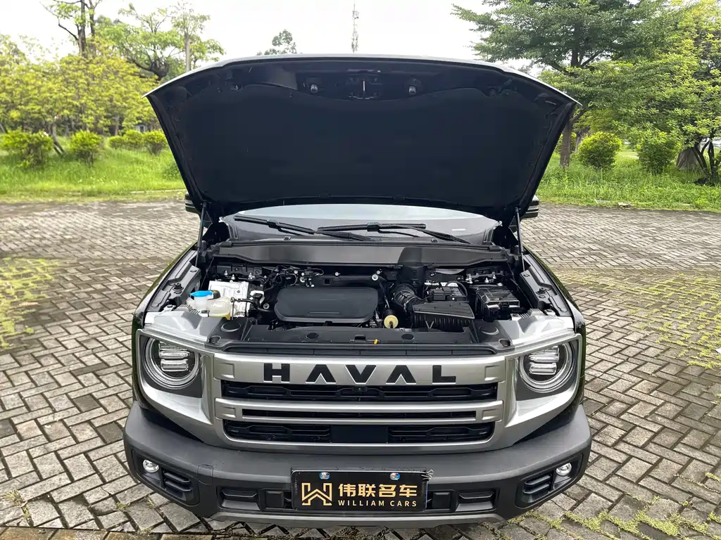 Haval Big Dog — миниатюра 21