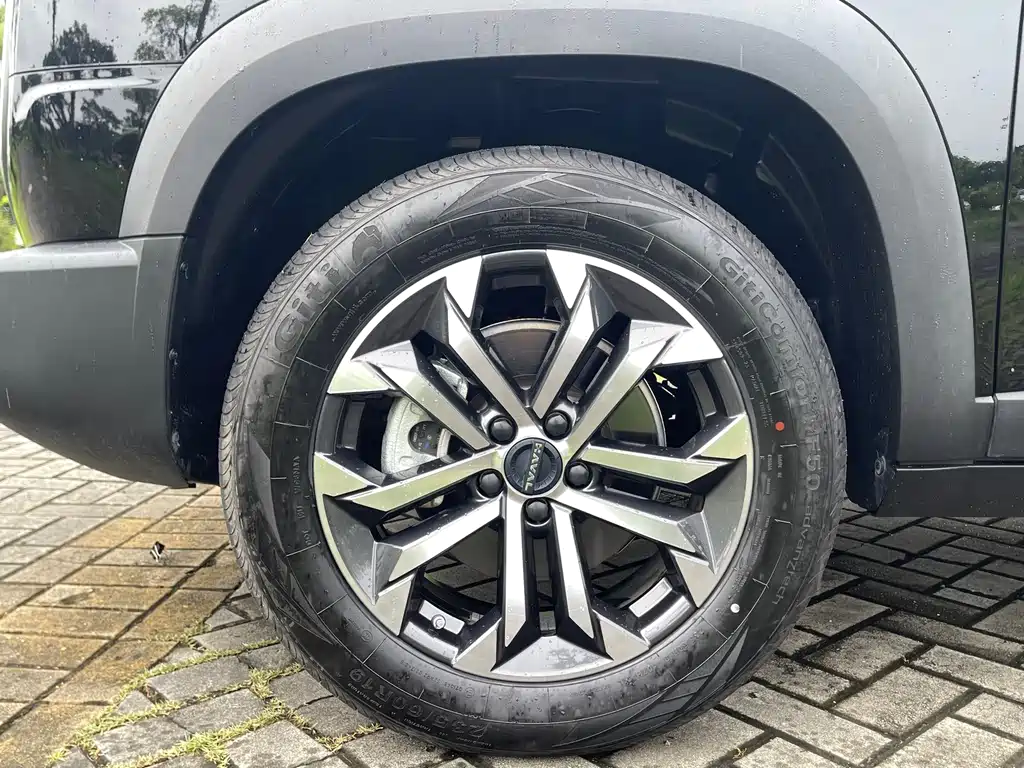 Haval Big Dog — миниатюра 20