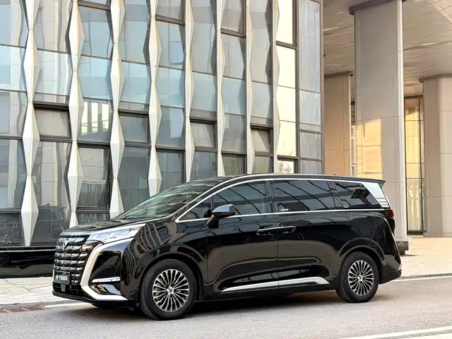 2023 Denza D9