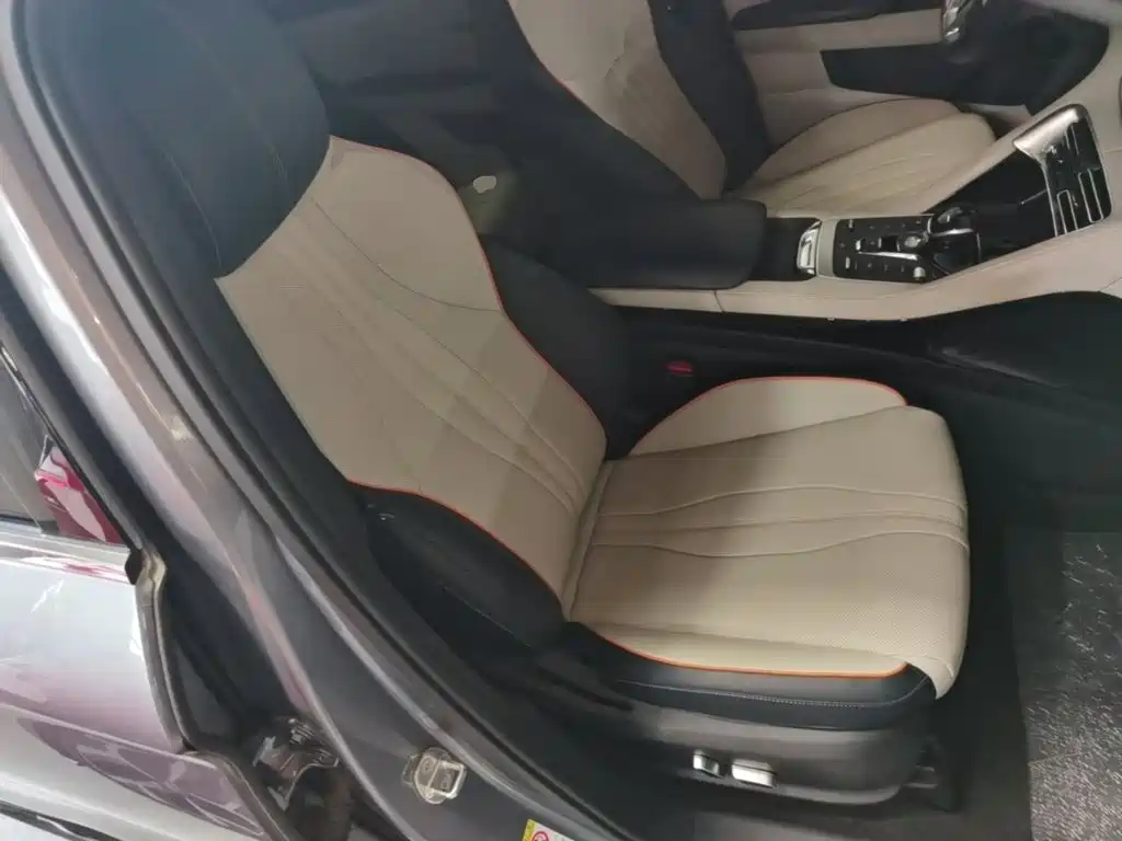 BYD PLUS New Energy — миниатюра 25