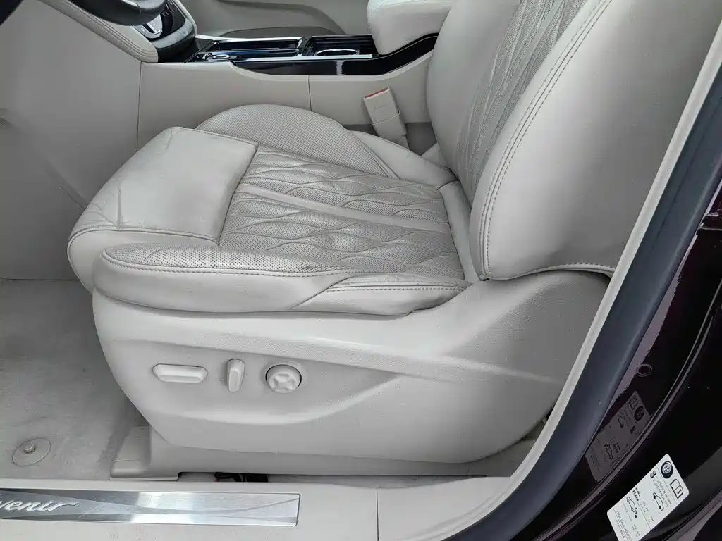 Buick GL8 — миниатюра 20