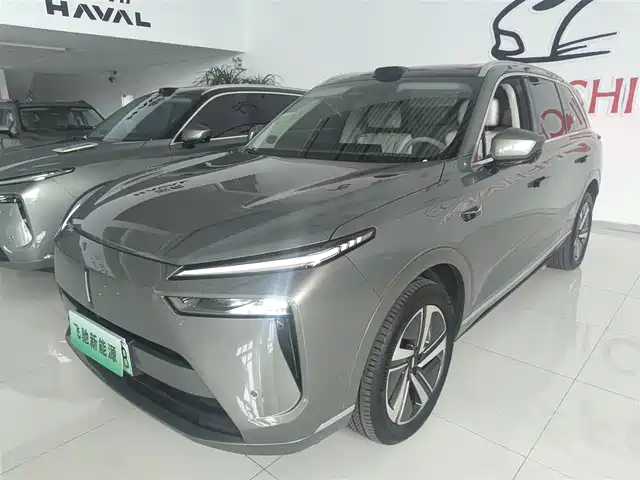 WEI PAI WEI BRAND BLUE MOUNTAIN 2024