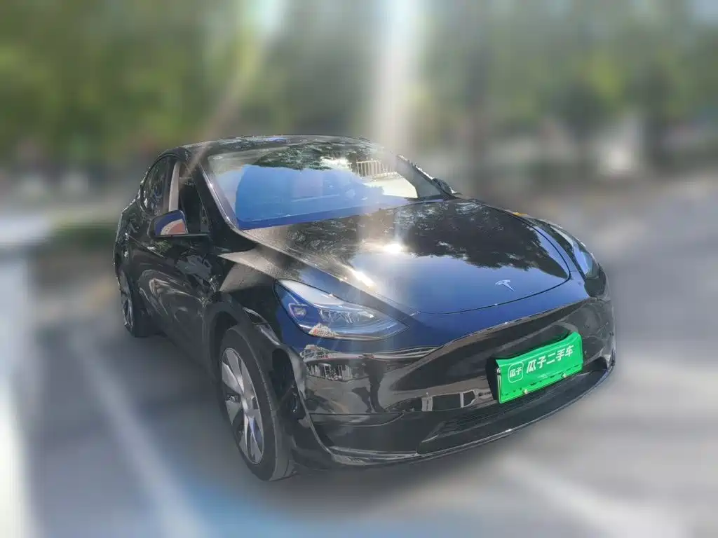Tesla Model Y — миниатюра 3