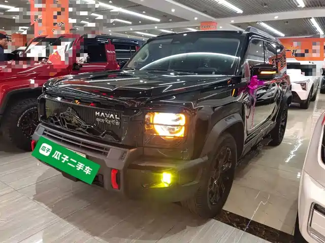 HAVAL  RAPTORS NEW ENERGY 2024