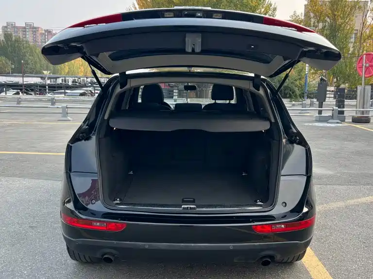 Audi Q5 — миниатюра 25