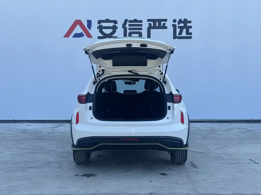 Haval Chitu — миниатюра 8