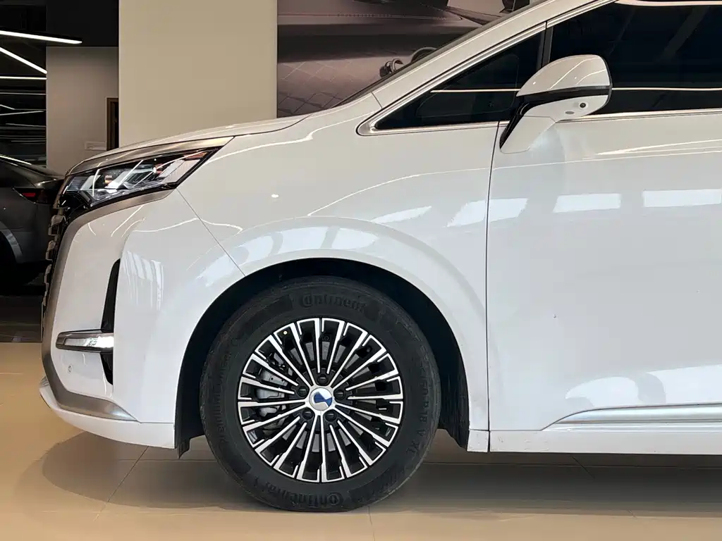 Denza Denza D9 — миниатюра 4