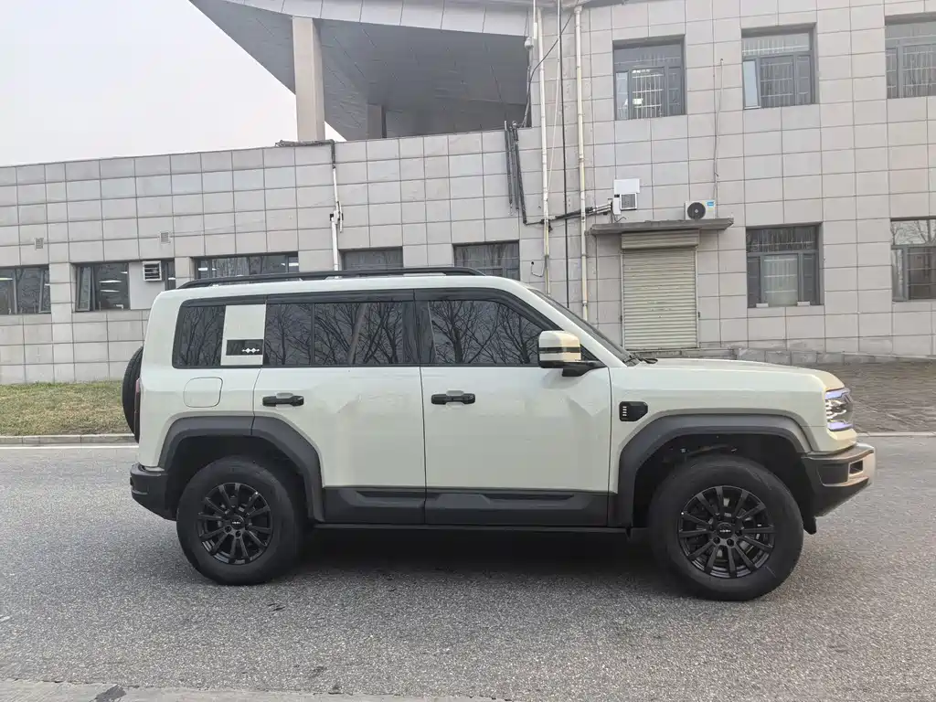 FANG CHENG BAO LEOPARD 5