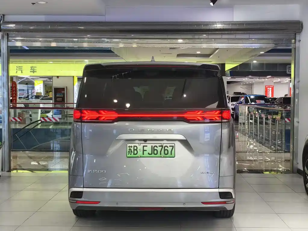 Denza Denza D9 — миниатюра 13