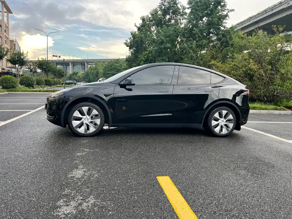 Tesla Model Y — миниатюра 4