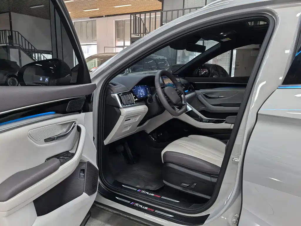 BYD PLUS New Energy — миниатюра 7