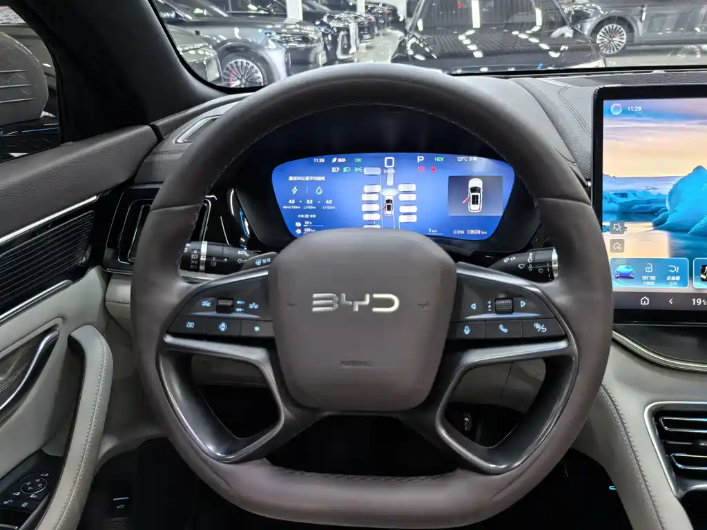 BYD PLUS New Energy — миниатюра 11