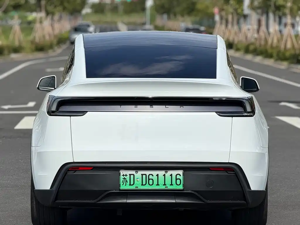 Tesla Model Y — фотографии объявления, Фото 10