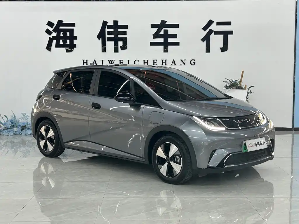 BYD Dolphin — миниатюра 3