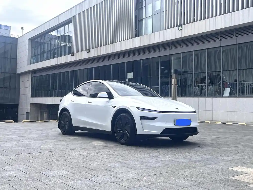 Tesla Model Y — миниатюра 3