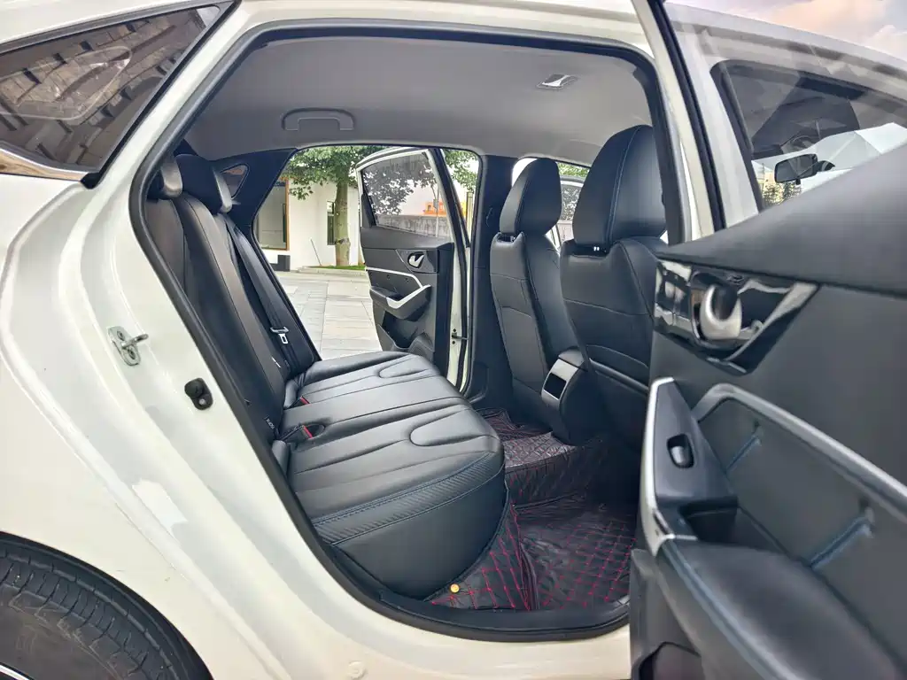 Venucia D60 EV — миниатюра 12
