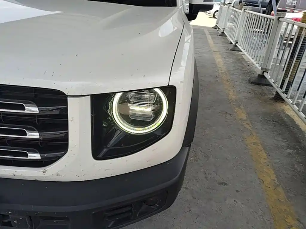 Haval Big Dog — миниатюра 24