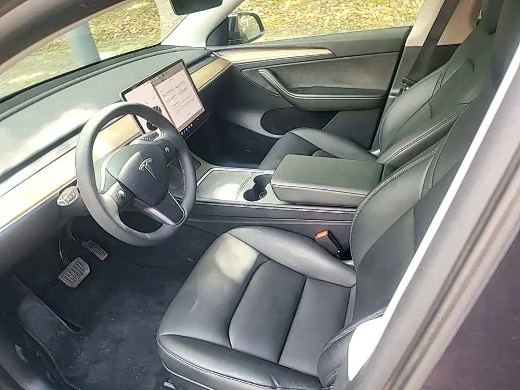 Tesla Model Y — миниатюра 16