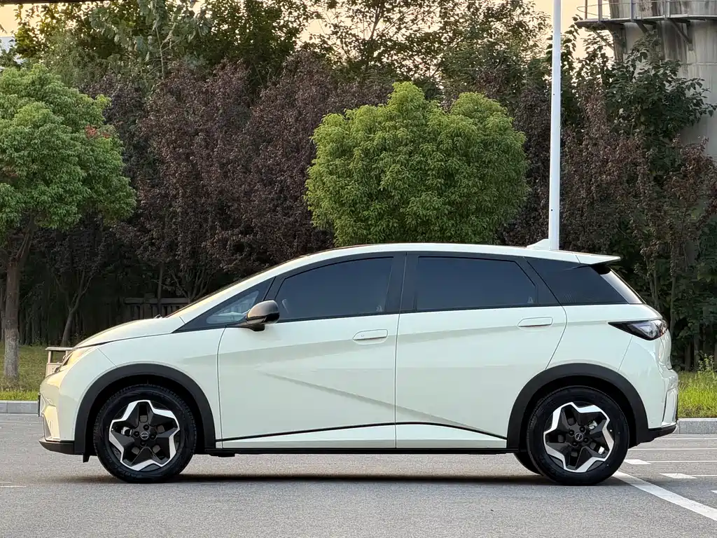 BYD Dolphin — миниатюра 4