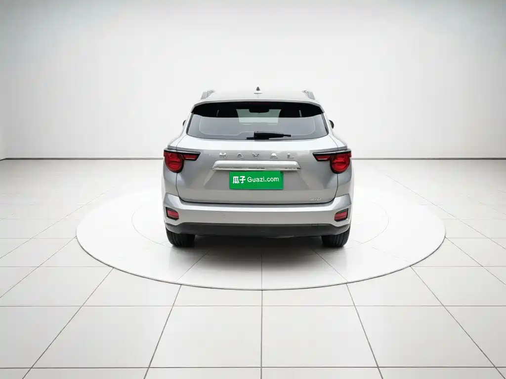 Haval Haval Big Dog PLUS — миниатюра 3