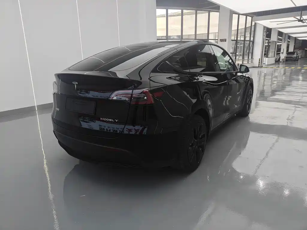 Tesla Model Y — миниатюра 6