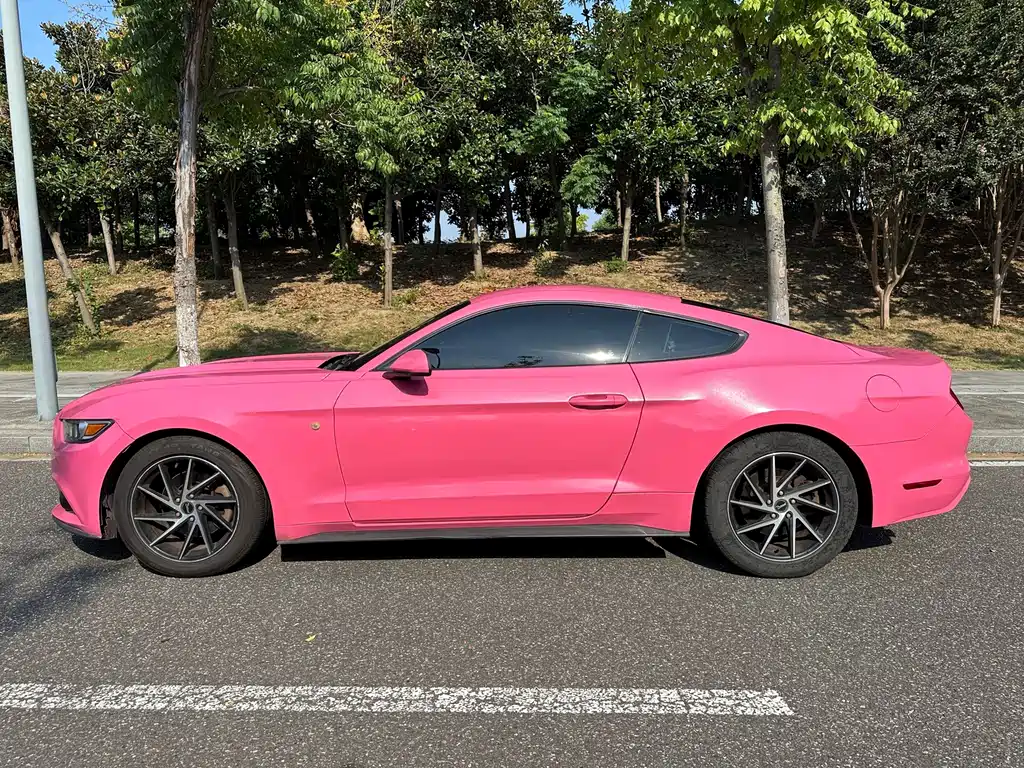 Ford Mustang — миниатюра 8